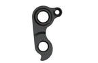 Derailleur hanger for Carver