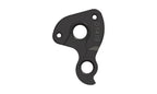 Derailleur hanger for Parlee