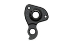 Derailleur hanger for Parlee