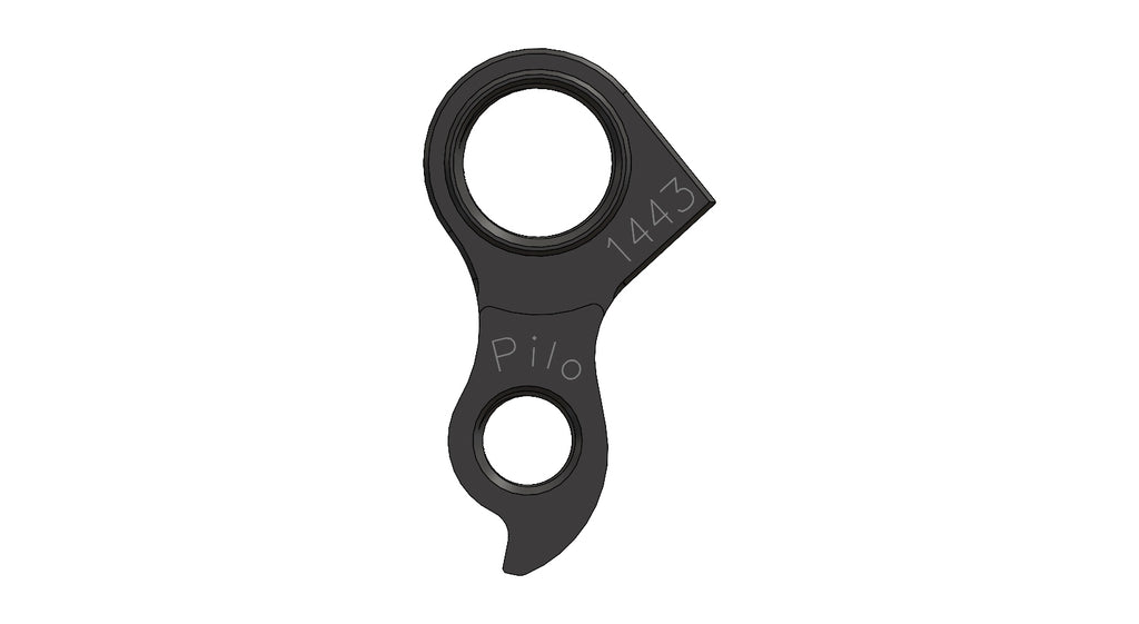 Derailleur hanger for Propain
