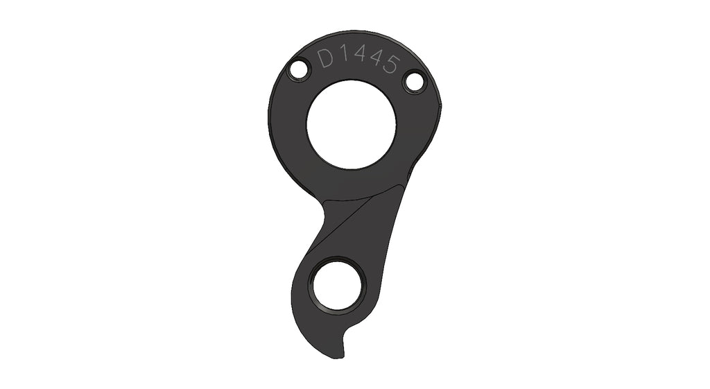 Derailleur hanger for Lynskey