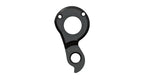 Derailleur hanger for Lynskey