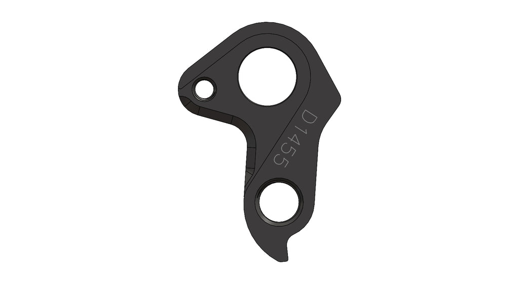 Derailleur hanger for Conway