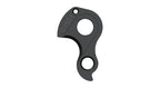 Derailleur hanger for Reilly