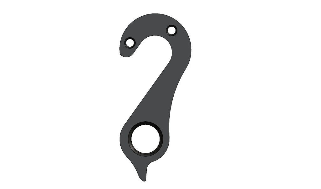 Derailleur hanger for Litespeed