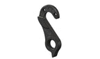 Derailleur hanger for Litespeed