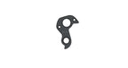 Derailleur hanger for Isaac