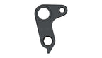 Derailleur hanger for Raaw