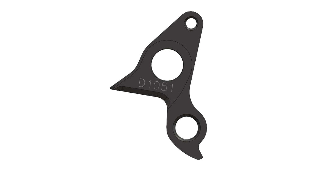Derailleur hanger for Van Nicholas
