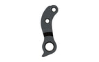 Derailleur hanger for Isaac