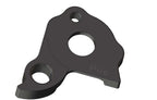Derailleur hanger for Pivot