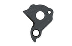 Derailleur hanger for Pivot
