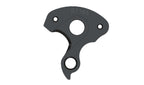 Derailleur hanger for Litespeed, Obed, Van Dessel
