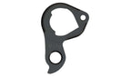 Derailleur hanger for Parlee
