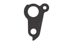 Derailleur hanger for Lee Cougan, Massi, Privateer, Spawn