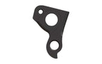 Derailleur hanger for De Rosa