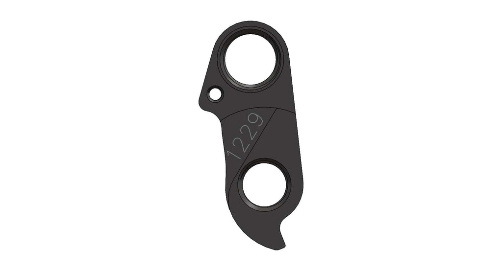 Derailleur hanger for Isaac