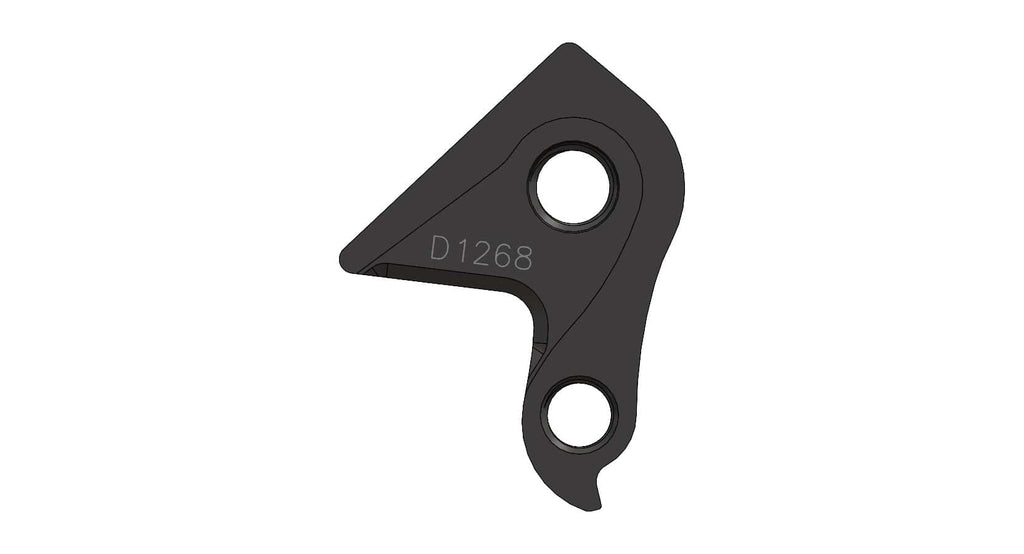 Derailleur hanger for Revel