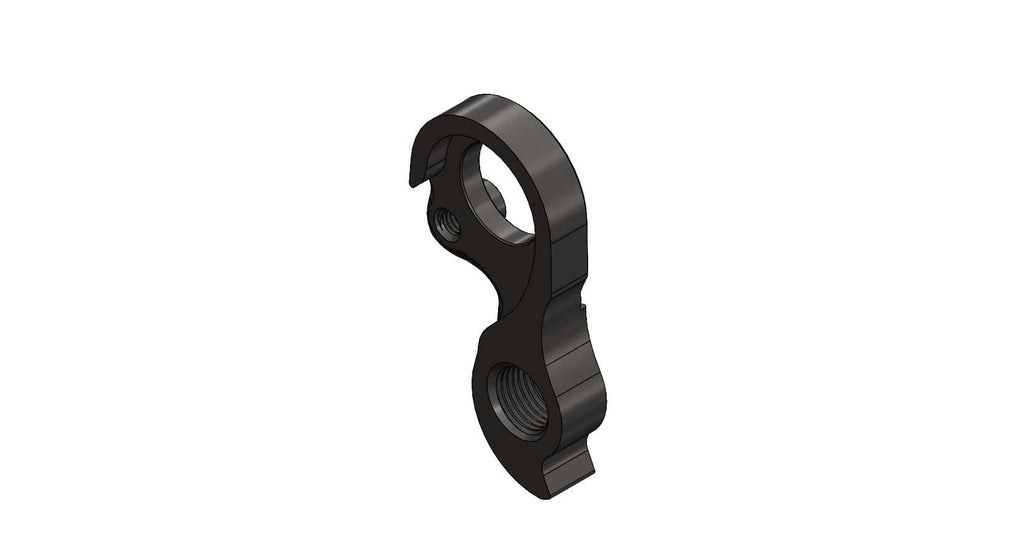 Derailleur hanger for State