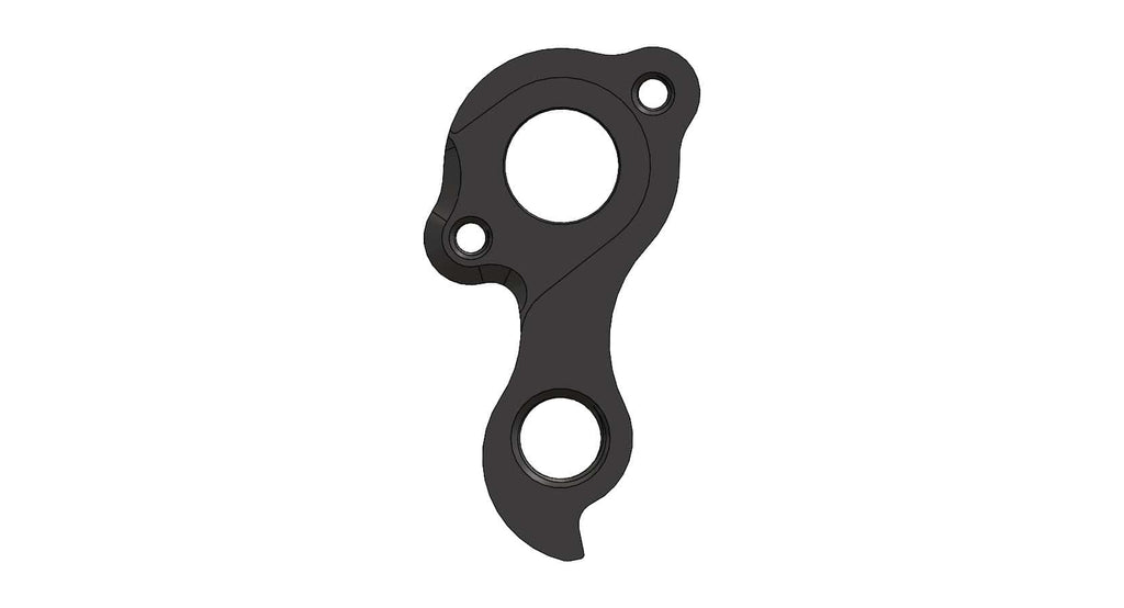 Derailleur hanger for Raleigh