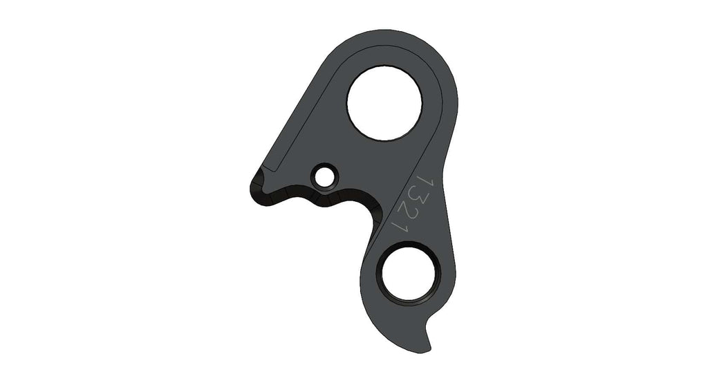 Derailleur hanger for Whyte
