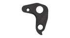 Derailleur hanger for RAAW