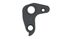 Derailleur hanger for RAAW