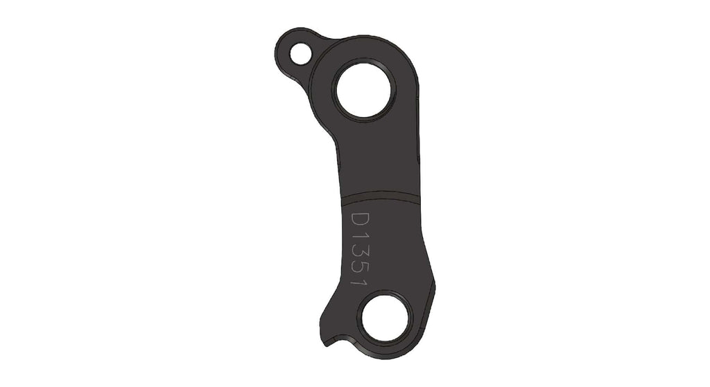 Derailleur hanger for Carver