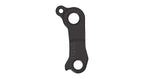 Derailleur hanger for Carver