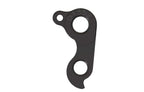 Derailleur hanger for Carver