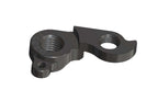 Derailleur hanger for Carver