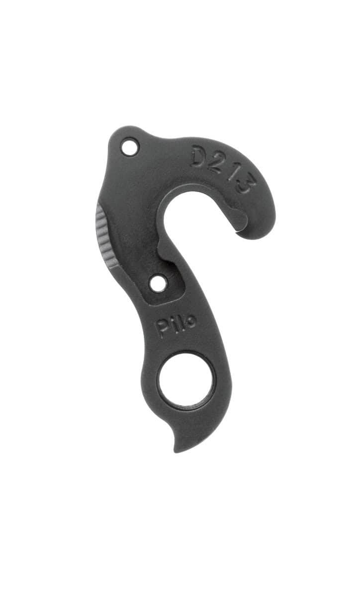 Derailleur hanger for Isaac