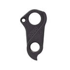 Derailleur hanger for Giant
