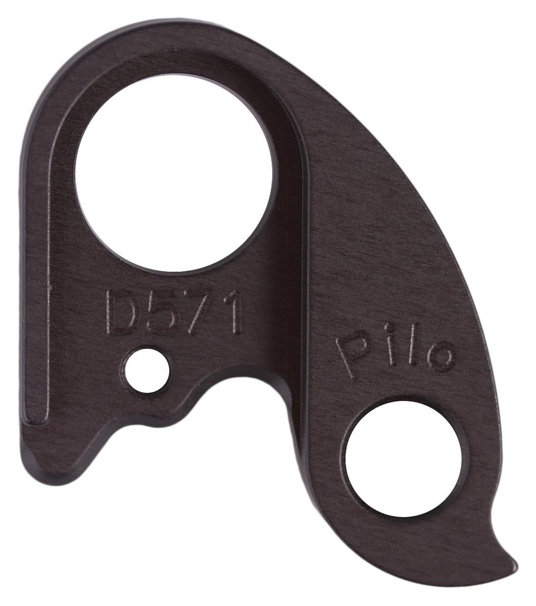 Derailleur hanger for Whyte