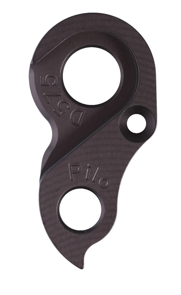 Derailleur hanger for Evil