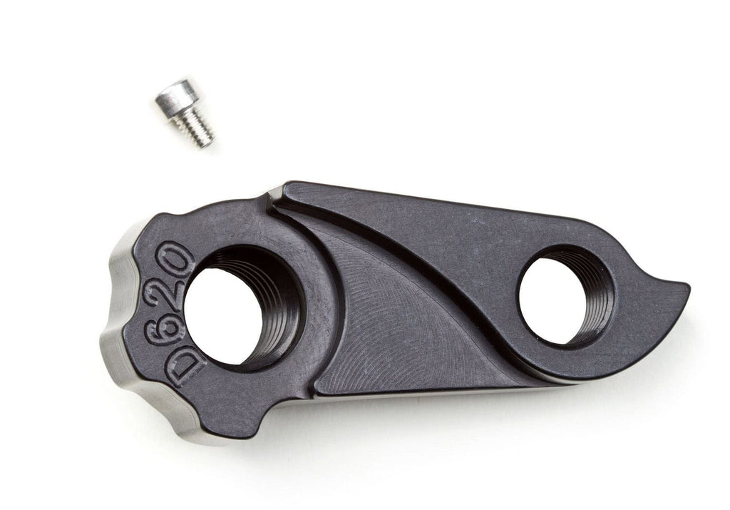 Derailleur hanger for Niner