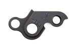 Derailleur hanger for Transition