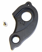 Derailleur hanger for Ellsworth