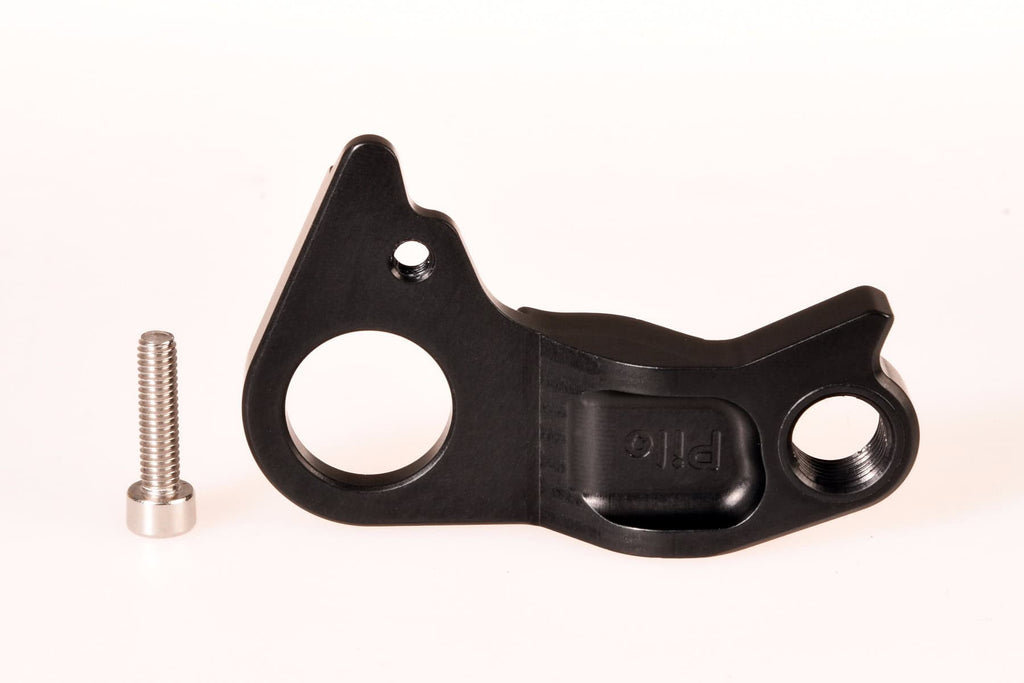 Derailleur hanger for Whyte