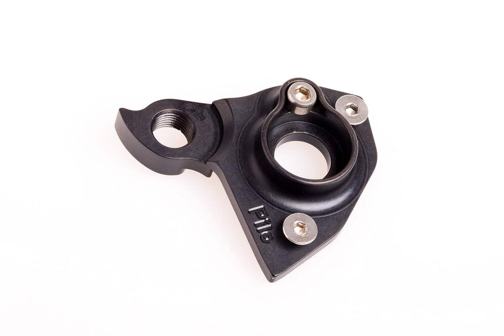Derailleur hanger for Ellsworth