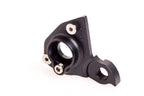 Derailleur hanger for Ellsworth