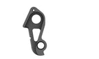 Derailleur hanger for BMC