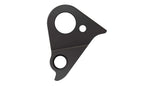 Derailleur hanger for Canyon