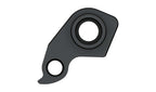 Derailleur hanger for Rocky Mountain