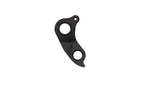 Derailleur hanger for Cannondale