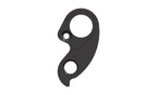 Derailleur hanger for Whyte
