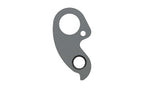 Derailleur hanger for Whyte
