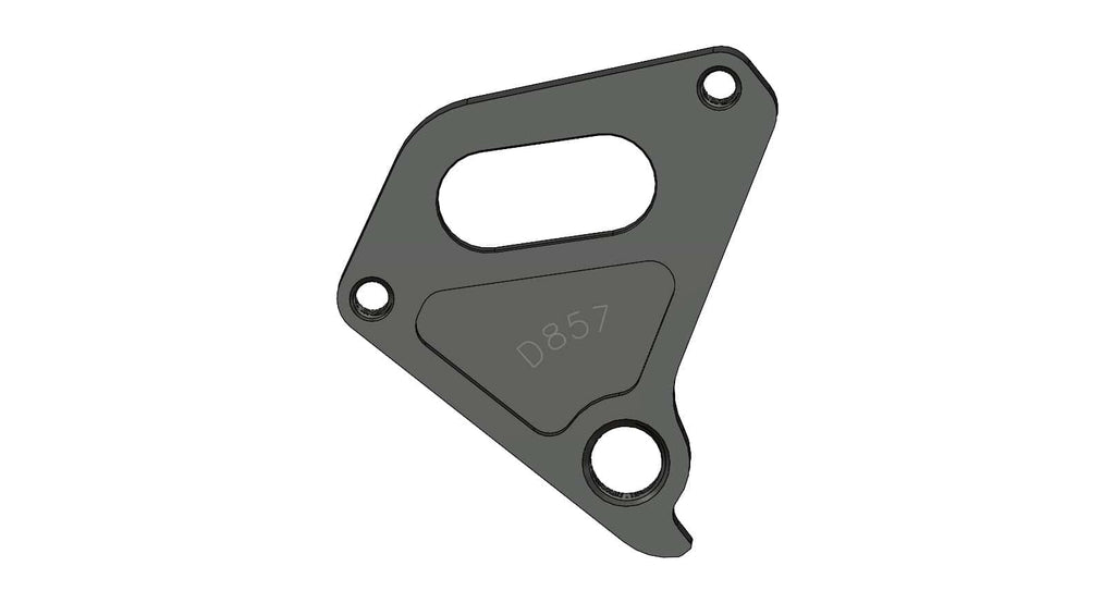 Derailleur hanger for Mondraker